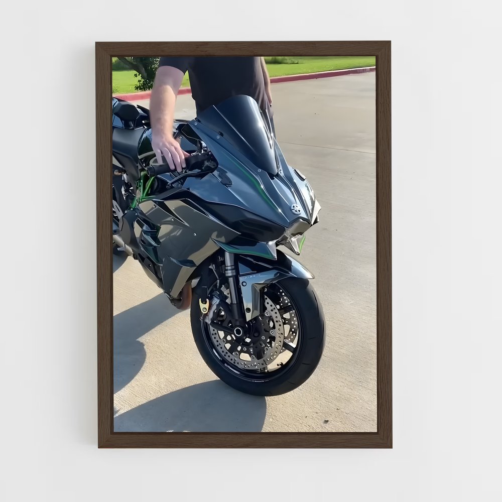Poster Ninja h2 SX Vif et Futé (vue 5)